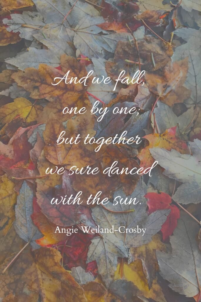 Fall Leaves and Sunlight by Angie Weiland-Crosby