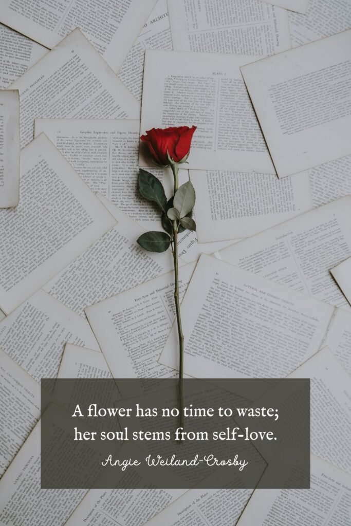 Self Love Quote and Rose by Annie Spratt