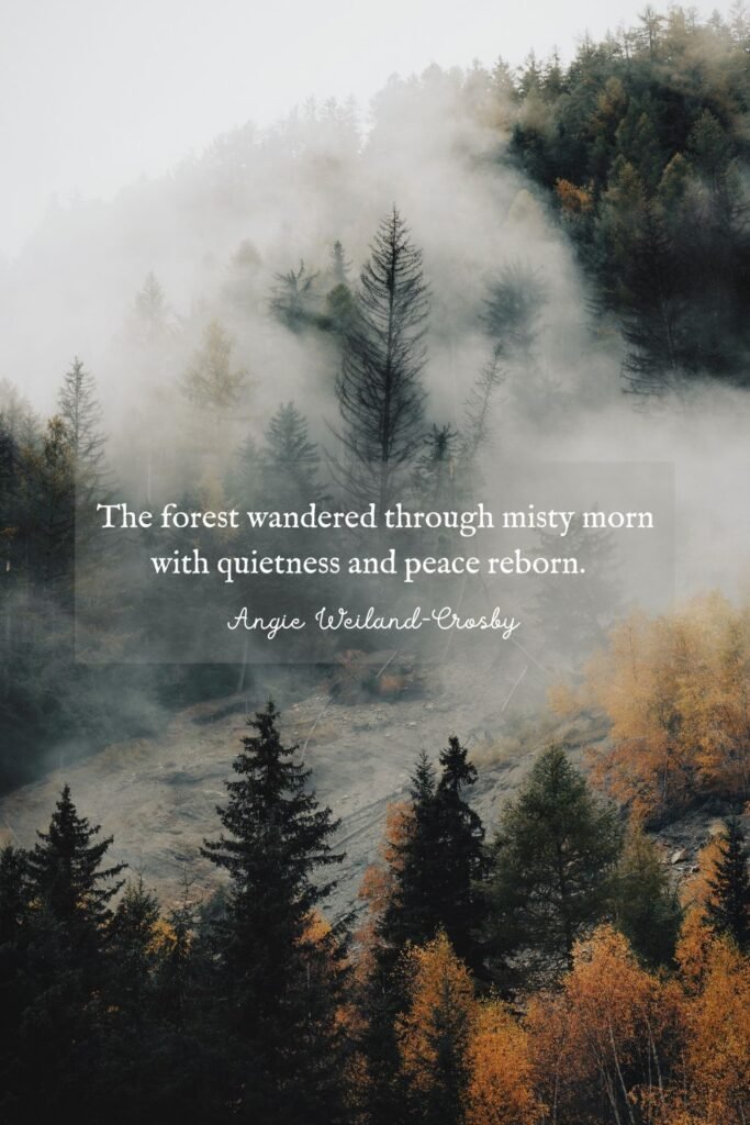 Forest Quote with Misty Woods by Eberhard Grossgasteiger 