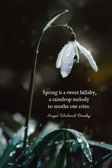 spring sweet lullaby quote