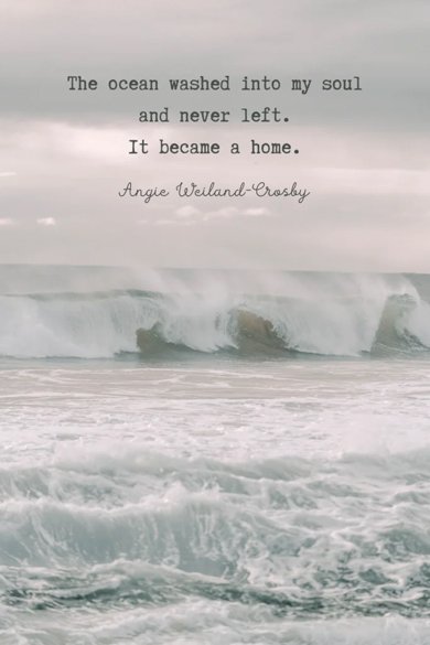 the ocean washed quote