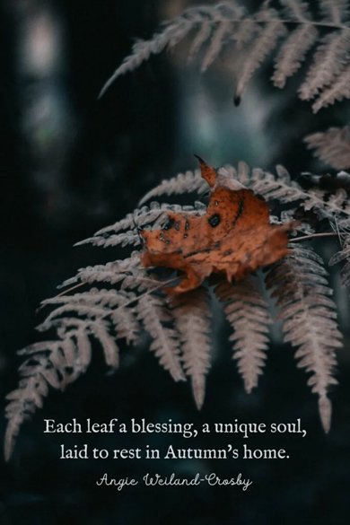 each leaf a blessing quote