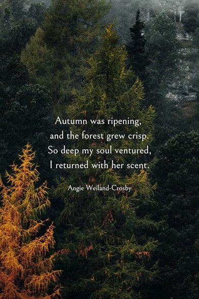 Autumn was ripening, and the forest grew crisp quote