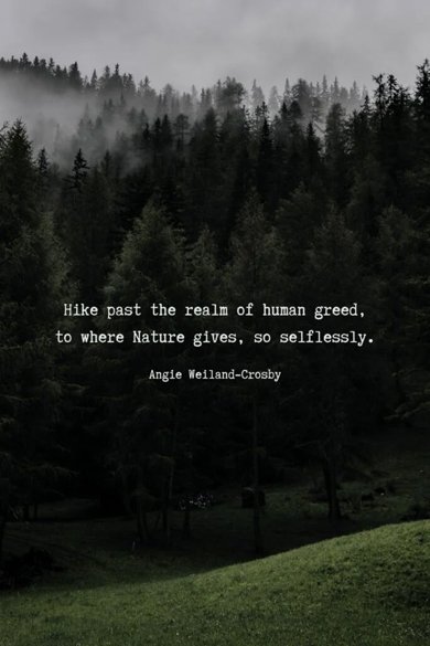 hike past the realm of human greed, to where Nature gives so selflessly