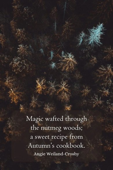 magic wafted through the nutmeg woods quote