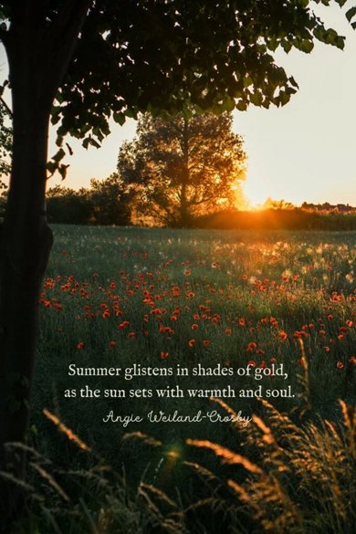 summer glistens quote