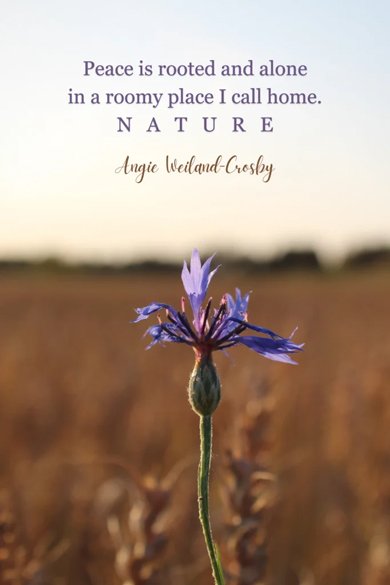 angie weiland crosby alone in nature quote