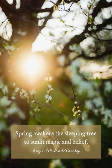 spring awakens quote