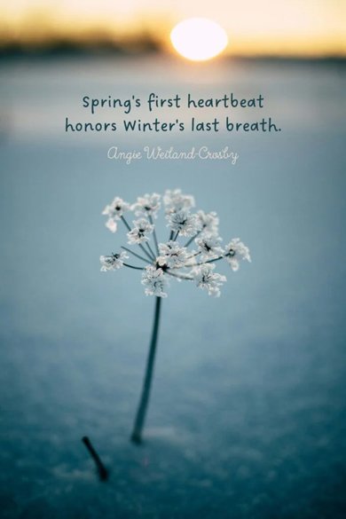 spring first heartbeat quote