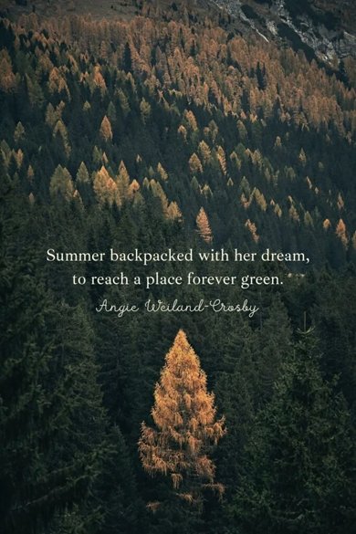 summer backpacked quote