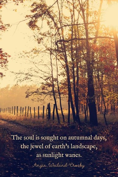 the soul is sought on autumnal days quote