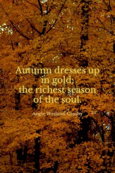 Autumn dresses up in gold quote