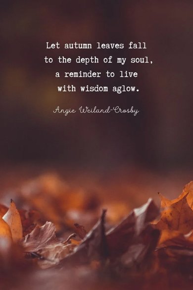 to live with wisdom aglow quote