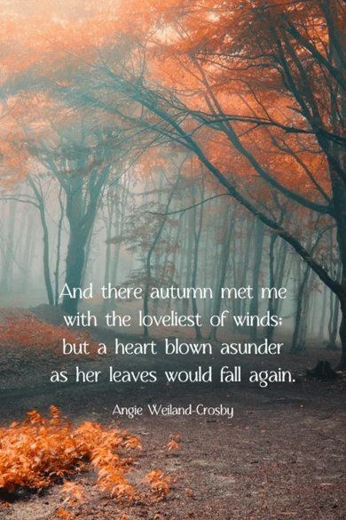 And there autumn met me with the loveliest of winds quote
