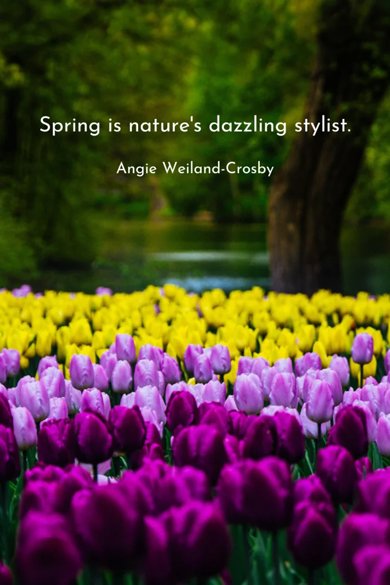 spring is natures dazzling quote