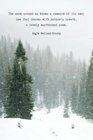 travel in snow quotes
