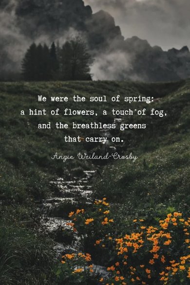we are the soul spring quote