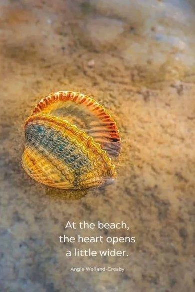 at the beach quote
