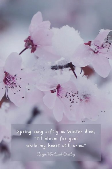 spring sang soflty quote
