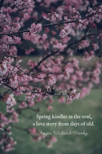 spring kindles soul quote