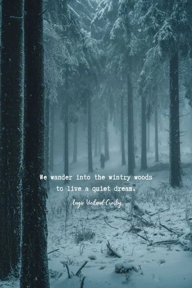 we wander into the wintry woods to live a quiet dream quote