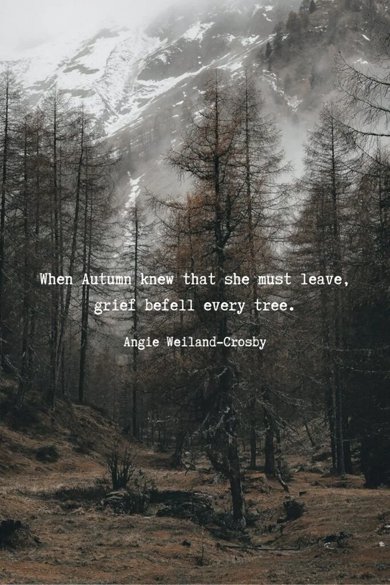 grief befell every tree quote