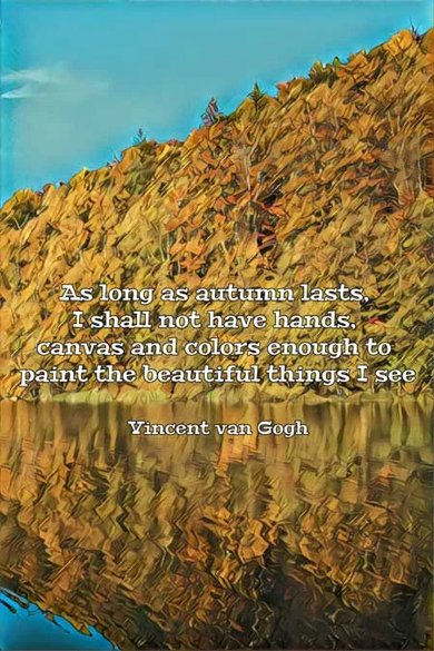 Vincent Van Gogh quote