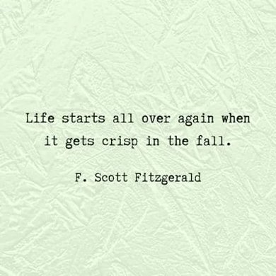 F. Scott Fitzgerald quote