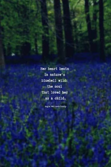 her heart beats to nature's bluebell wild quote