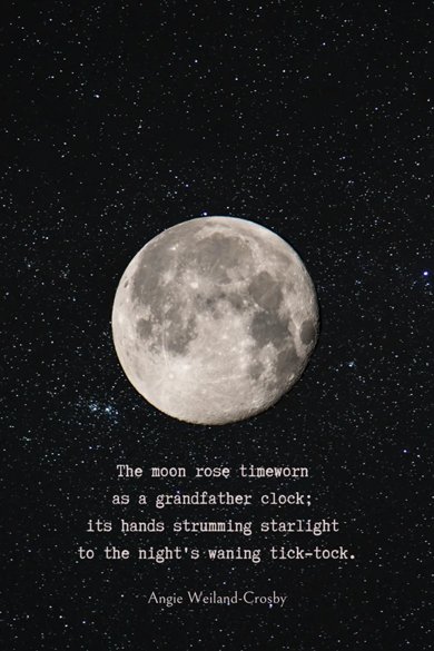 winter moon quote