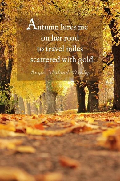 travel miles scattered in gold quote