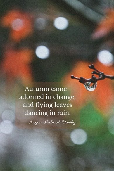 flying leaves dancing in rain quote