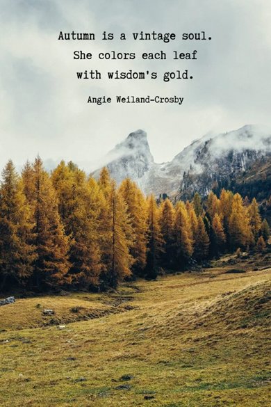 colors each leaf with wisdom's gold quote