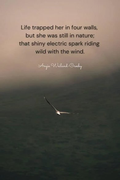 still in nature quote