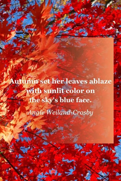 set her leaves ablaze quote