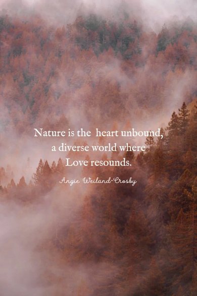 nature is the heart unbound quote