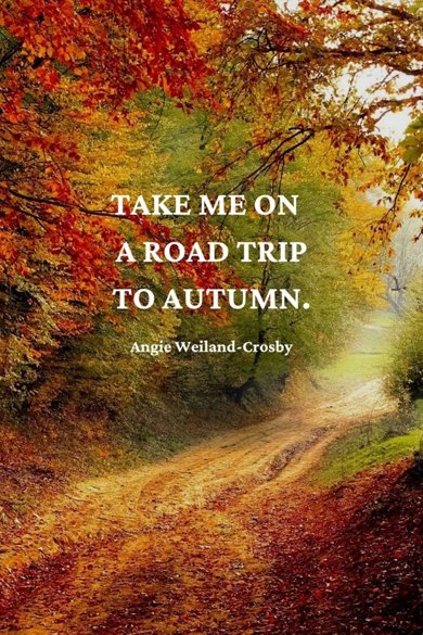 take me on a road trip to autumn quote