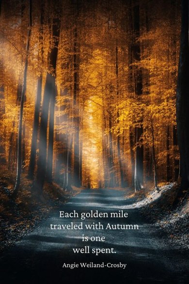 each golden mile traveled quote