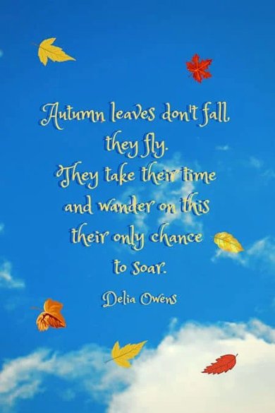 Delia Owens quote