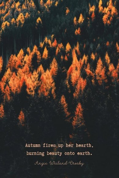 autumn fires up her hearth quote