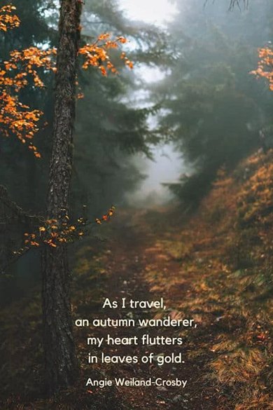 as I travel, an autumn wanderer quote
