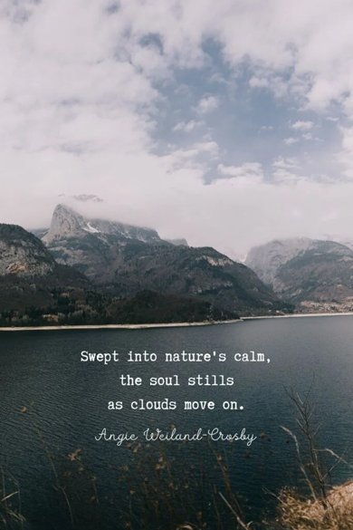 swept into nature's calm quote