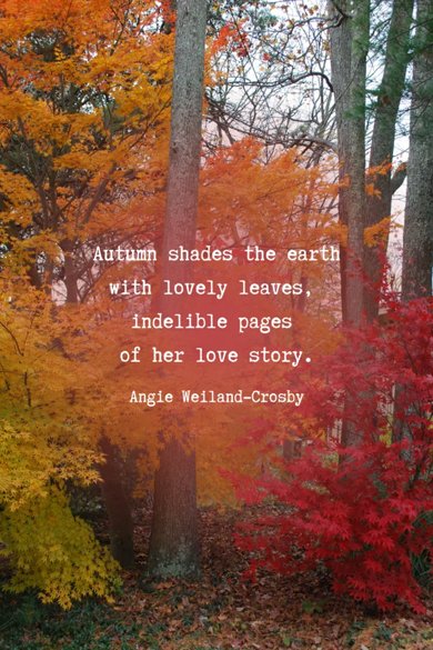 autumn shades the earth quote