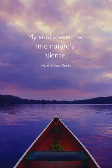 my soul steers me into nature's silence quote