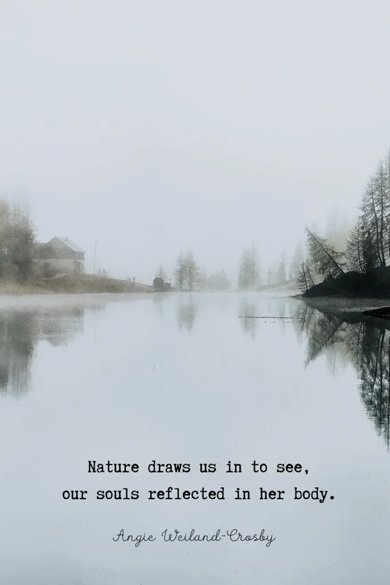 nature draws us in to see quote