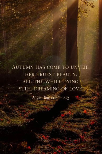 Autumn has come to unveil her truest beauty quote