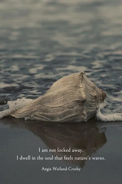 i am not locked away quote