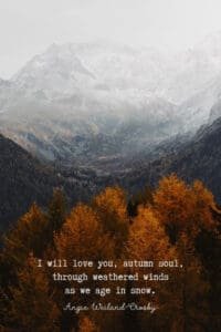 Fall Quotes & Autumn Quotes to enchant the Soul | Momsoulsoothers