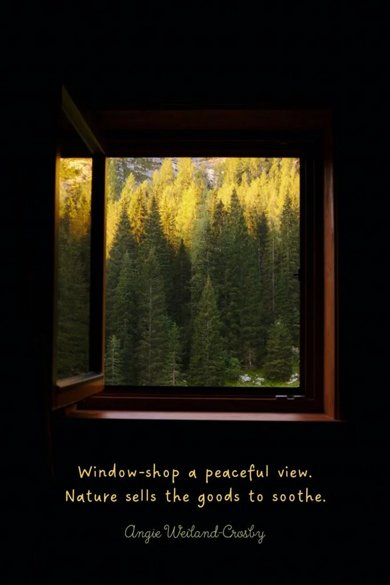 window-shop a peaceful view quote