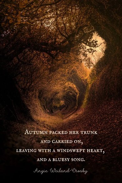 Autumn packed her trunk quote